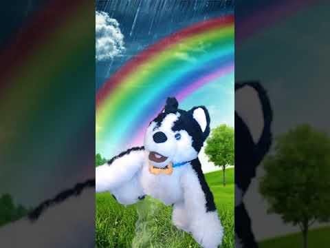 Suspicious Emails with Kobuk the Security Pup!