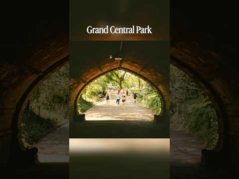 Can a 30 year old camera still take high quality pictures of New York City? #nyc #filmphotography