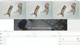Horizontally Scrollable Image Gallery Using Content Scrolling of Pro Header Builder