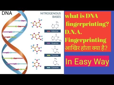 What is DNA fingerprinting???