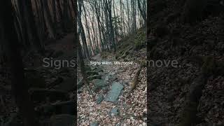 Unexpected paths #shorts #hiking #nature #mountains #explore #outdoorlife