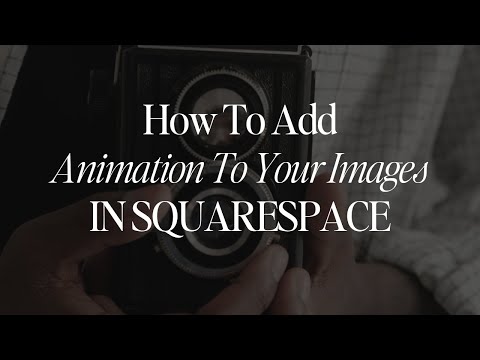 How To Add Animation To Your Images In Squarespace - The Blog Social