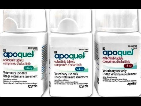 alternatives to apoquel