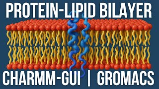 Protein-Membrane Simulation Setup | CHARMM-GUI to GROMACS Molecular Dynamics Tutorial