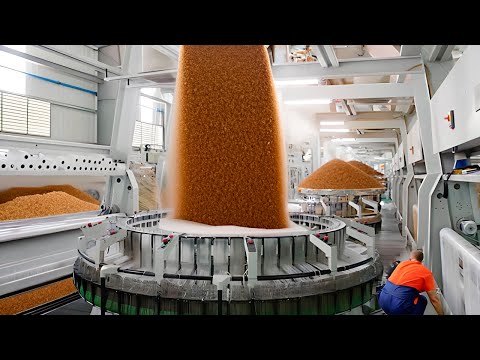 Sugar Facts You Didn't Know: History and Making Of Brown Sugar