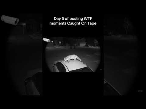 Left My Car Alone at Night… Caught THIS on Camera 😱 #cctv #funny #nothingimposibleinthisworld #fox