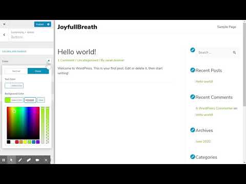 How to customise Container and Buttons of the Astra Theme for WordPress