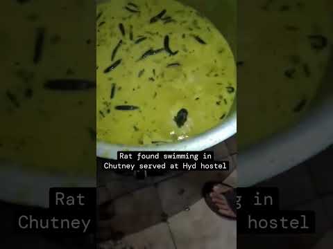 #FoodSafety #HostelMessHygiene #JNTUHyderabad #ViralVideo #HealthConcerns #ITReel