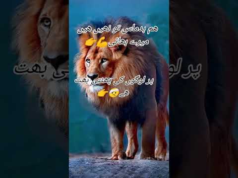#attitude #trandingshorts #whatsappstatus