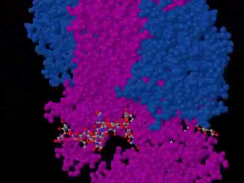 BASICS  how polymers come together to do amazing things