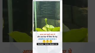 best status video 💯🎯 for motivation 🤯#viralvideo #motivation #trend #shortfeed