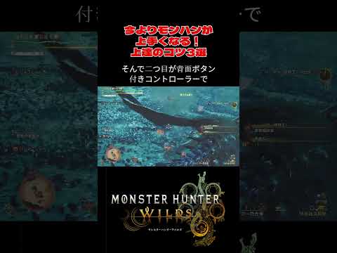 【モンハンワイルズ】HR800↑上達のコツ3選#モンハンワイルズ#モンハン#ワイルズ#mhws#片手剣  #歴戦王レダウ#shorts