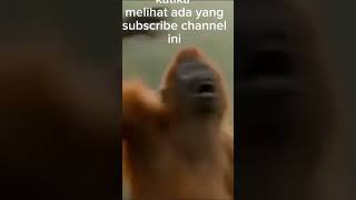 #60secondmagic #instashorts #shortandsweet #shortvideo