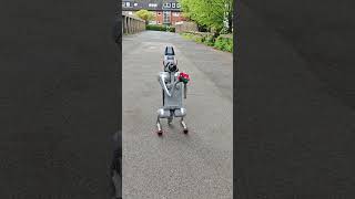 Quadruped Robot Dog Unitree Go2 - Sparky is happy