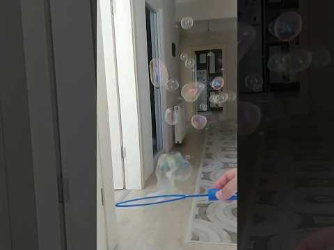 Bubbles #bubble #bubbles #bubbleshooter