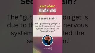 Fact About Human Brain 24 | What is Second brain? #secondbrain #amazingfacts