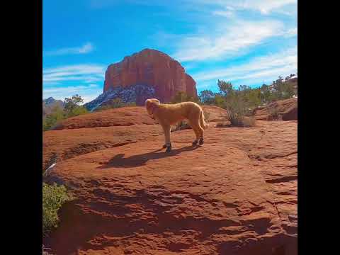 Stunning Views of Bell Rock            #sedona #arizona #views