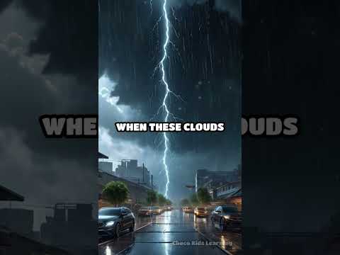 Understanding the Water Cycle | YouTube shorts #ytshorts #shorts