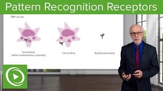 Pattern Recognition Receptors (PRRs) – Immunology | Lecturio