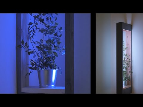 DIY wall lamp LED with plant