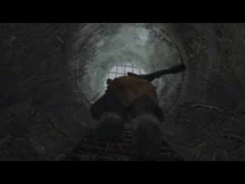 Metro Last Light in a nutshell...