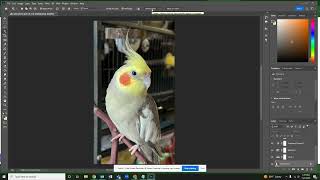 Photoshop: Detailed Selections with the Object Selection Tool