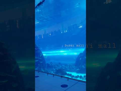 Dubai Mall, Dubai- United Arab Emirates.  25,December 2021