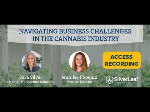 Navigating Cannabis Challenges: Top Solutions for Cannabis Growers and Processors
