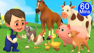 1 Hour Learning Video for Kids: Animal Names & Sounds, Colors, ABC, Numbers, Shapes, Nursery Rhymes🌈