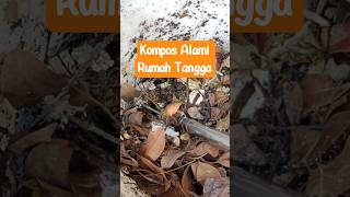 Kompos Rumah Tangga Cek Deskripsi! #kompos #komposorganik #sampahberkelas #youtubeshorts #tips