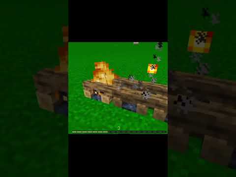 Minecraft Build Hack #shorts #minecraft #buildhack #viralvideo