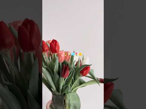🌷🤍 #vlog #cozy #dayinthelife