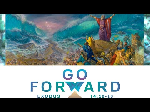 Exodus | Go forward | devotional and bible study