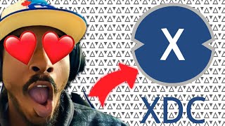 XLM & XDC: The Moves Nobody's Talking About in 2025 🚀