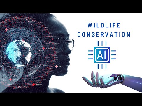 AI and Wildlife Conservation: How Algorithms are Helping to Protect Endangered Species