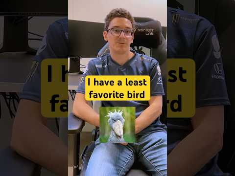 Fabiano Caruana Rapid Fire Q&A #chess #chesscom #shorts