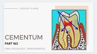 A to Z about CEMENTUM !