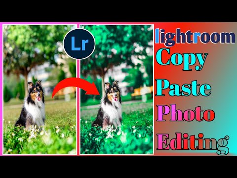 lightroomn copy and paste settings ||lightroom copy paste editing kaise kare || #lightroom #edit