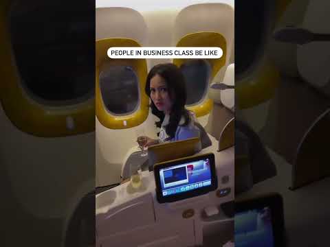 Dog vs people in business class #dog #corgi #dogtravel #doglover #travel #businessclass #dogshorts