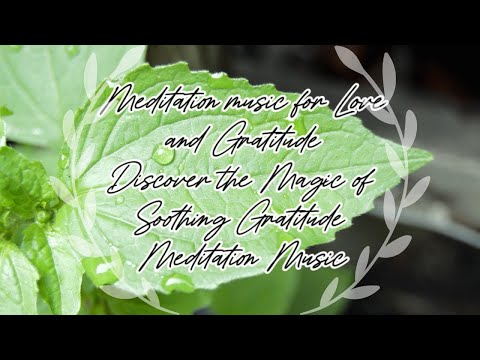 Meditation music for love and gratitude - Discover the Magic of Soothing Gratitude Meditation Music