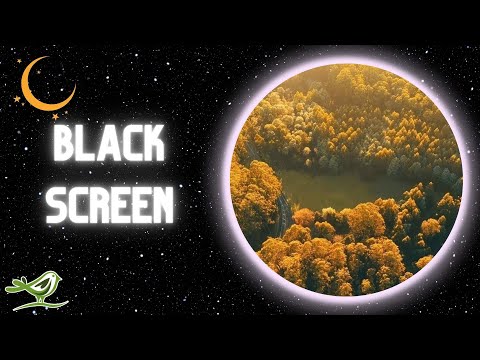 [NO ADS] Early in the Morning | Black Screen & Instrumental Sleep Music by Peder B. Helland