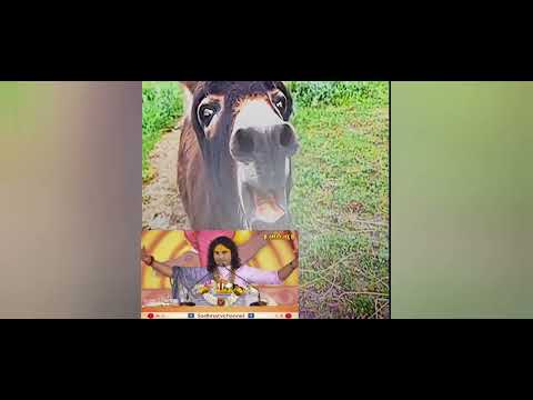 dhongi kahin ka