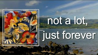 Adrianne Lenker - not a lot, just forever (Lyrics)