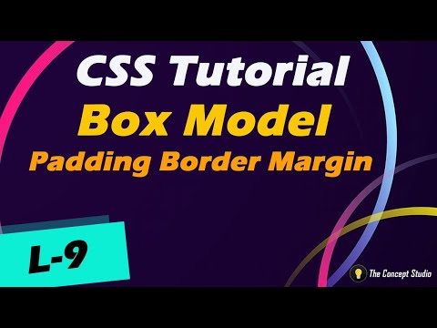 Box Model | Padding | Border | Margin | CSS Tutorial | L-9