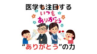 ゆっくり解説 雑学 豆知識 トリビア 聞き流し 役に立つ おもしろい 面白い 楽しい 笑える バラエティ