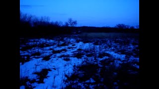 ✦ free ambient sad x corbin x clams casino type beat "losing"