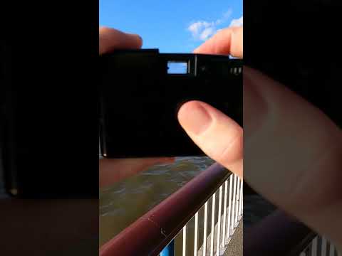 Fomapan 400 35mm Black and White Film Review #blackandwhitefilm #fomapan #fomapan400 #35mmfilm