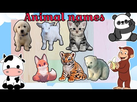 Animal Names in Hindi & English | जानवरों के नाम हिंदी और अंग्रेजी में |  animals with their sound