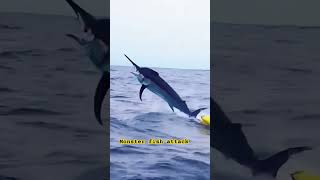 #fishing #fish #animallife #animals #fypyoutube #animalshorts #shortsvideo #shorts #fyp #fishattack