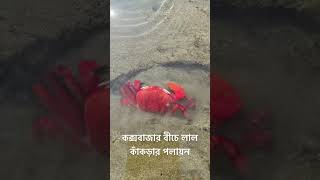 Cox’s Bazar sea beach 🏖️